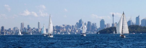 Sydney sailboats.jpg