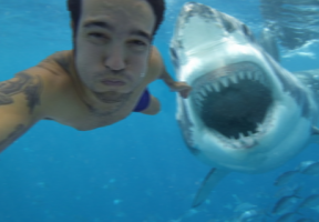 shark-selfie.png