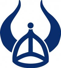 ericson-helmet-logo.jpg