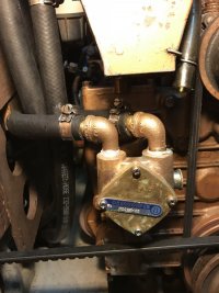 Engine Raw Water Strainer