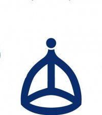 ericson-helmet-logo2.jpg