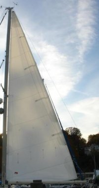 new-sail-8x6.jpg
